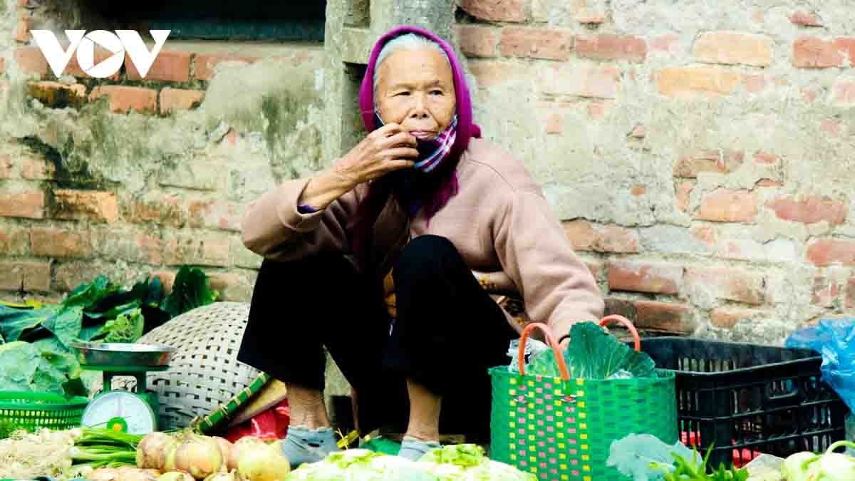 Traditional Tet rural market offers festive vibes